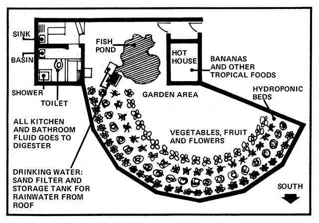 Floor plan of the Caine house's hydroponic garden, fish pond, and water filtration system.